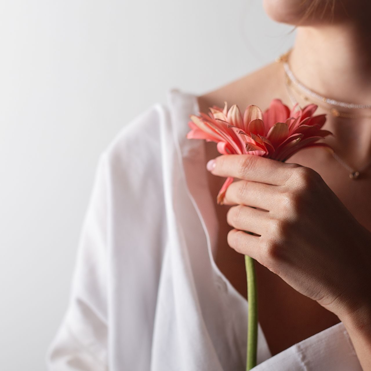 FEM Academy Seminare